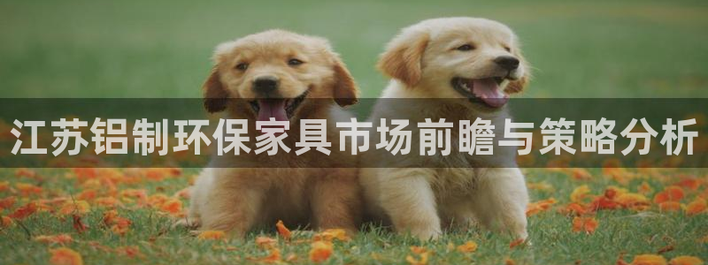 杏宇注册中心：江苏铝制环保家具市场前瞻与策略分析