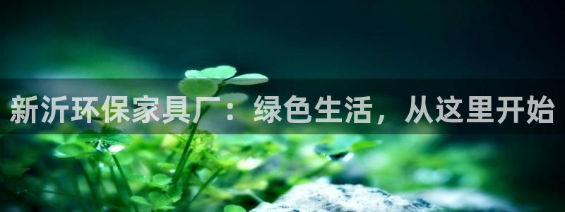 杏宇平台主管
