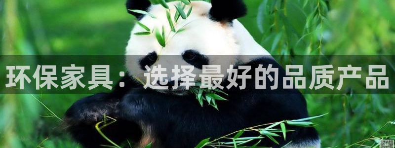 杏宇平台服务中心是干嘛的：环保家具：选择最好的品质产品
