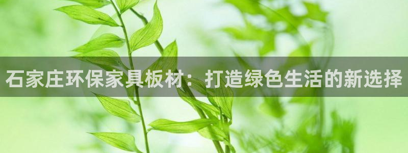杏宇注册登录官网：石家庄环保家具板材：打造绿色生活的新选择