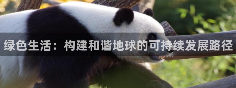 杏宇注册网址：绿色生活：构建和谐地球的可持续发展路径