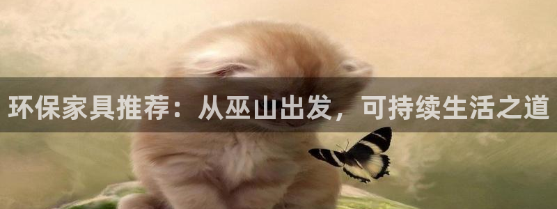 杏宇app怎样申请退款