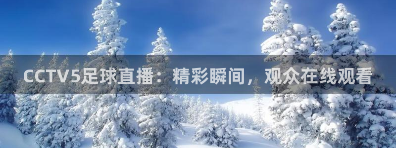 龙门足球直播：CCTV5足球直播：精彩瞬间，观众在线观看