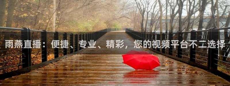 龙门直播nba：雨燕直播：便捷、专业、精彩，您的视频平台不二选择