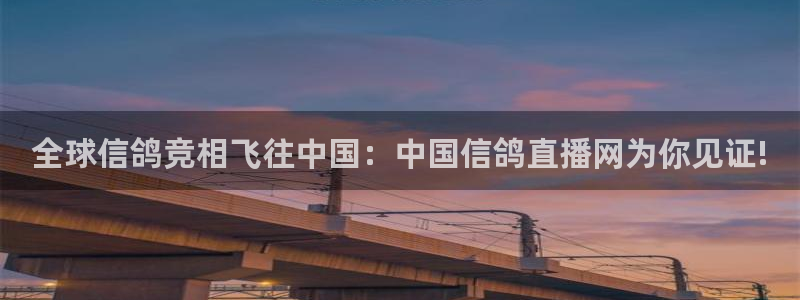 龙门飞甲播放：全球信鸽竞相飞往中国：中国信鸽直播网为你见证!