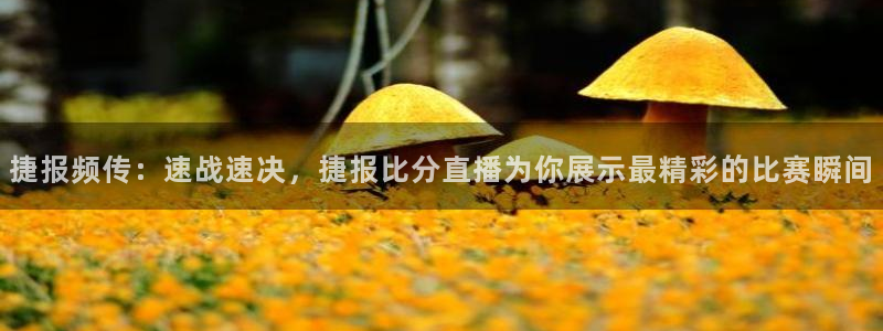 龙门体育在线直播：捷报频传：速战速决，捷报比分直播为你展示最精彩的比赛瞬间
