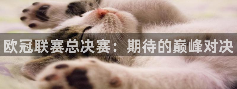看球直播龙门直播：欧冠联赛总决赛：期待的巅峰对决