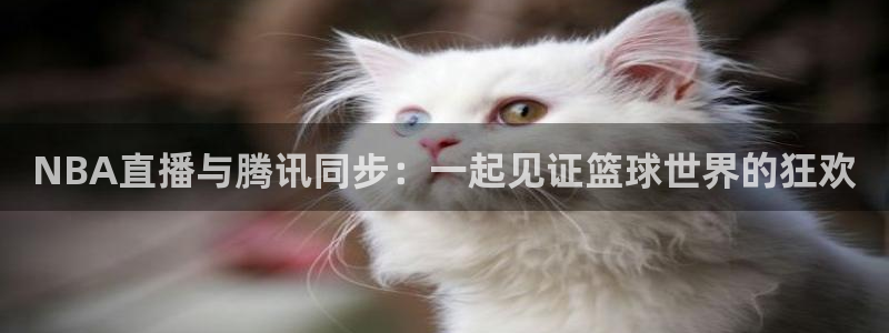龙门直播app足球直播下载手机版：NBA直播与腾讯同步：一起见证篮球世界的狂欢